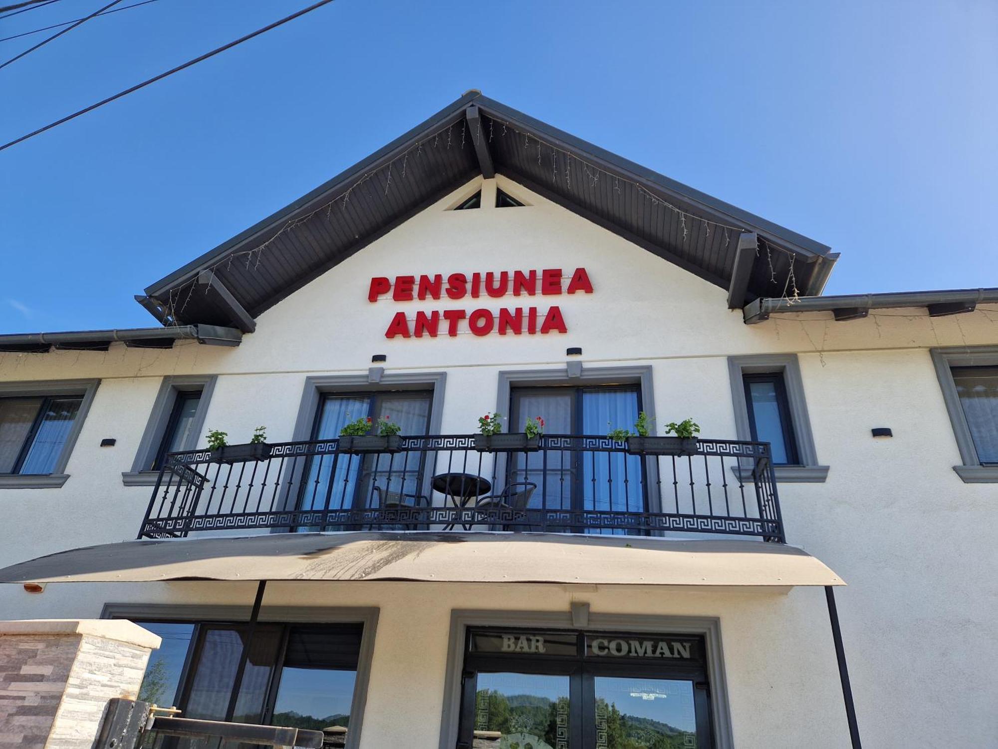 Pensiunea Antonia Sighetu Marmaţiei Rom bilde